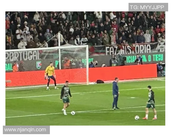 欧冠赛场惊现奇葩事件球迷冲入场内抢夺C罗球衣引热议