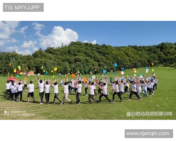 飞盘盛宴：深入武汉飞盘队的赛场故事与经验分享MBA