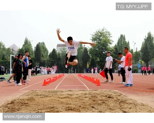 篮球明星翅膀的梦想飞翔与奋斗历程揭秘