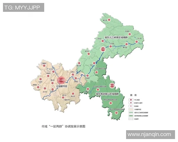 重庆足球队的运营模式与发展策略深度解析